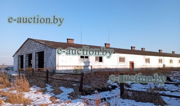 Откормочник вблизи д. Сиреневка (Дрогичинский район), площадью 1496.3 м²