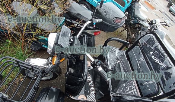 Трицикл электрический BNP Zevs Ulta Mini