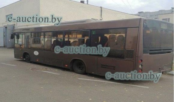 Автобус МАЗ 226063,2020