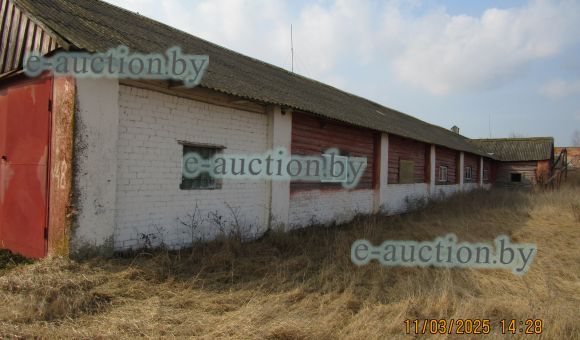 Здание свинарника вблизи д. Розановщина (Слонимский район), площадью 549.6м²