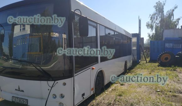 Автобус МАЗ 206067, 2013