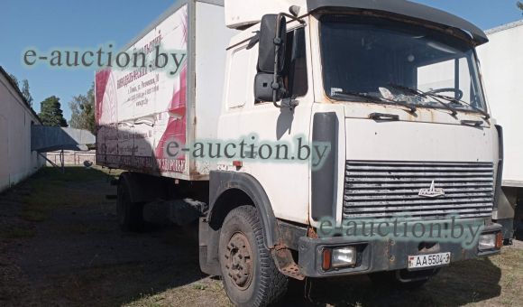 МАZ 533603-240 573100 KUPAVA, 2006