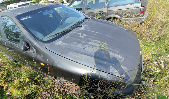 Fiat Brava, 1995