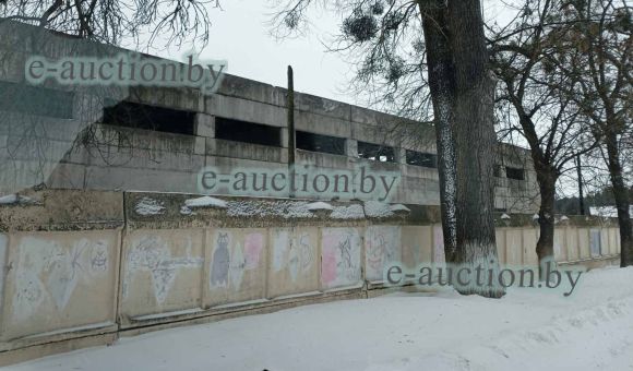 Комплекс недвижимого имущества в г. Речице