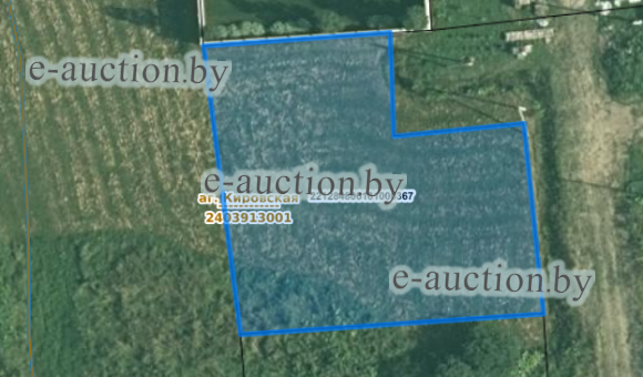 Земельный участок в аг. Кировская (Витебский район), площадью 0.1320 га