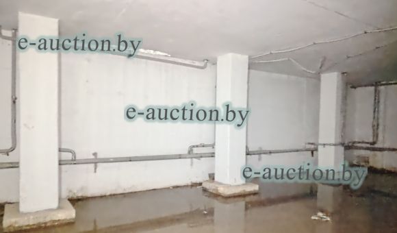 Помещение неустановленного назначения (подвал) в г. Витебске, площадью 80.9 м²