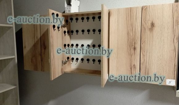 Шкафчик навесной с крючками №5