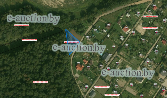 Земельный участок в СТ "ВЕРЯГИ" (Логойский район), площадью 0.0948 га