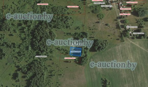 Земельный участок в д. Жгуно-Буда (Добрушский район), площадью 0.1500 га