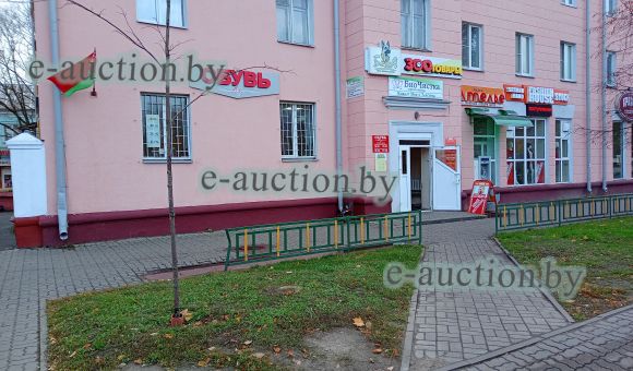 Торговое помещение в г. Гомеле, площадью 263.2м²