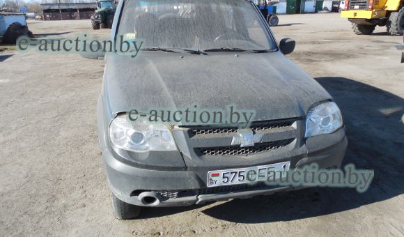 Chevrolet Niva, 2010