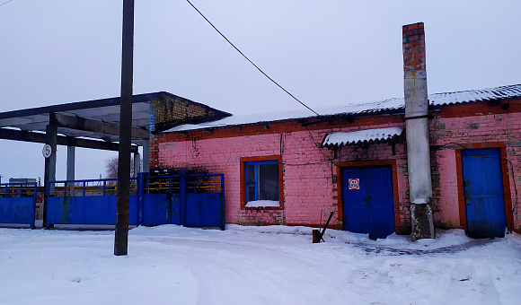 Производственная база в д. Трудовой, состоящая из 5-ти капитальных строений
