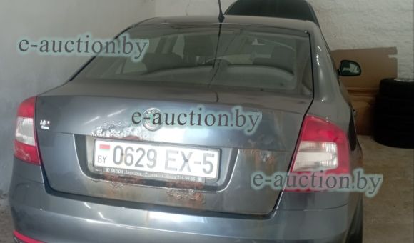 Skoda Octavia, 2010