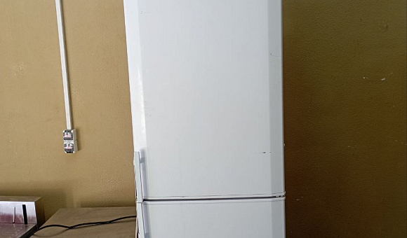 Холодильник BEKO CSK38000 Холодильник BEKO CSK38000