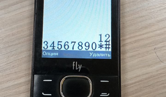 Мобильный телефон Fly TS111