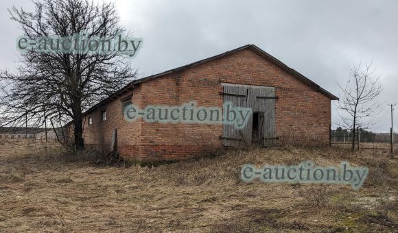 Телятник в д. Деревная (Столинский район), площадью 447.6 м²