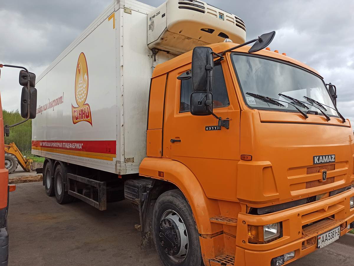 Камаз 65 201