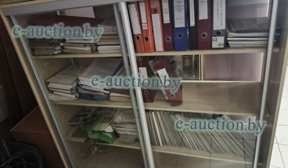 Шкаф-купе со стеклянным дверьми 