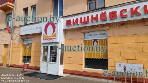Изолированное помещение в г. Бобруйске, площадью 216.9м²