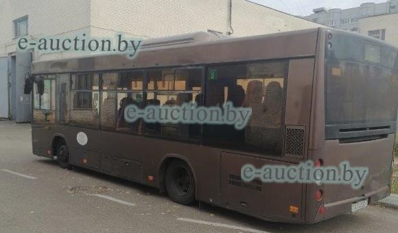 Автобус МАЗ 226063, 2020