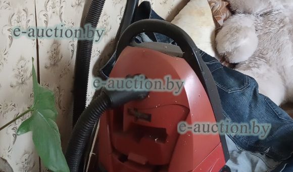 Пылесос Витязь