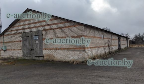 Зерносклад в д. Деревная (Столинский район), площадью 505.5 м²