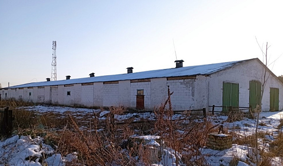 Телятник вблизи д. Сиреневка (Дрогичинский район), площадью 1466.0 м² Телятник вблизи д. Сиреневка (Дрогичинский район), площадью 1466.0 м²