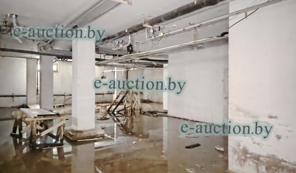 Помещение неустановленного назначения (подвал) в г. Витебске, площадью 238.9 м²