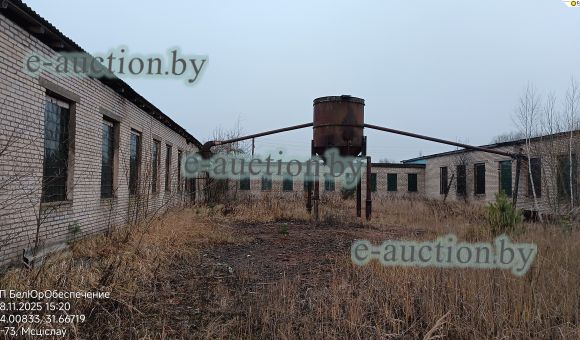 Лесопильный цех вблизи д. Сутоки  (Мстиславский район) площадью 312м²