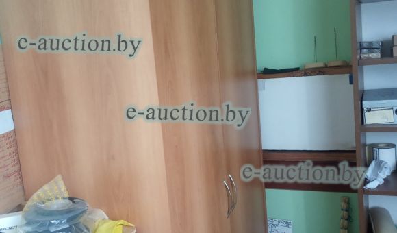 Шкаф двухстворчатый 