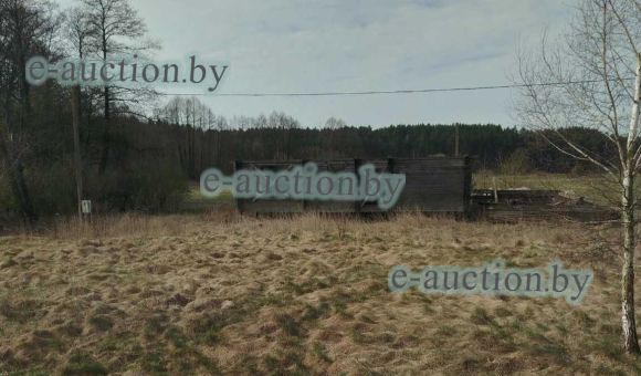 Земельный участок в д. Волчин (Каменецкий район), площадью 0.2484 га