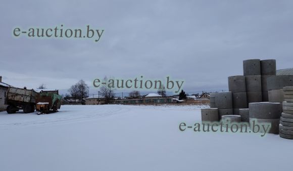 Асфальтированная площадка мехдвора вблизи аг. Светлосельский (Шумилинский район), площадью 4431.2 м²