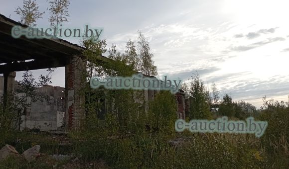 Колбасный цех в г. Полоцке, площадью 2976.3 м²