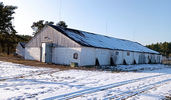 Зерносклад вблизи д. Сиреневка (Дрогичинский район), площадью  559.6 м²