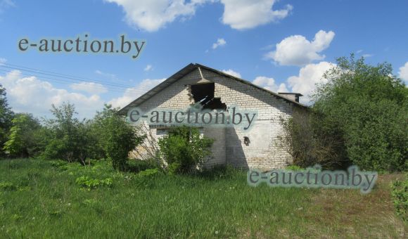Здание свинарника в д. Зоренька (Молодечненский район), площадью 378.1 м²