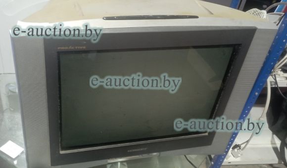 Телевизор Горизонт