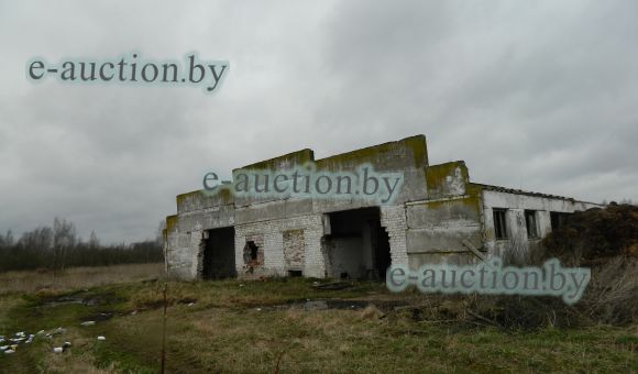 Комплекс недвижимого имущества вблизи д. Автушково (Витебский район)