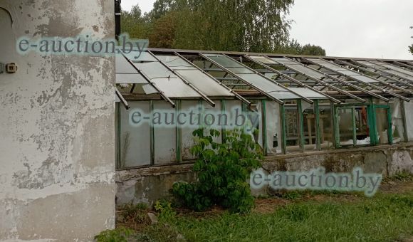 Цветочная теплица в г. Барановичи, площадью 450 м²