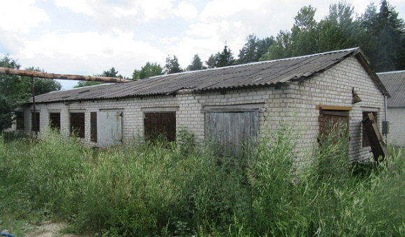 Здание столярного цеха-пилорамы в Могилевском районе, Вейнянском с/с, площадью 160м²