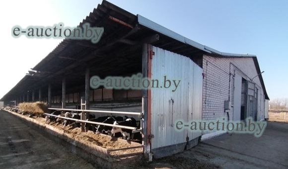 Здание телочника № 1 вблизи д. Добрино (Витебский район), площадью 1793.1 м²