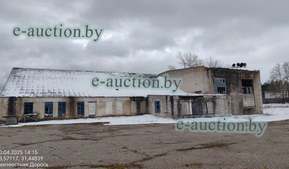 Гараж в д. Гронов (Чериковский район) площадью 584.5м²