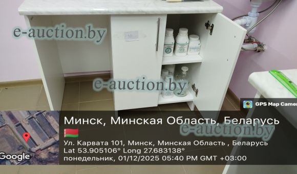 Стол лабораторный 1000х600х800