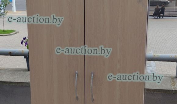 Шкаф двустворчатый №22