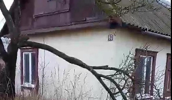 1/2 доля в праве собственности на жилой дом в аг. Доманово (Ивацевичский район), площадью 47.9 м²