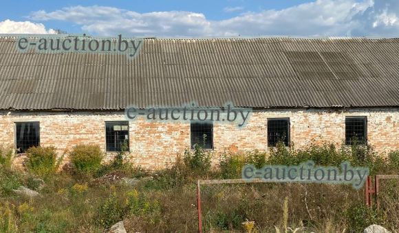 Лесопильный цех в г. Березино