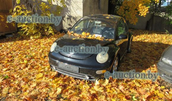 Volkswagen New Beetle, 2000