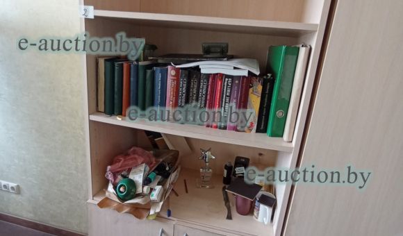 Шкаф с полками и 2-мя дверями №2