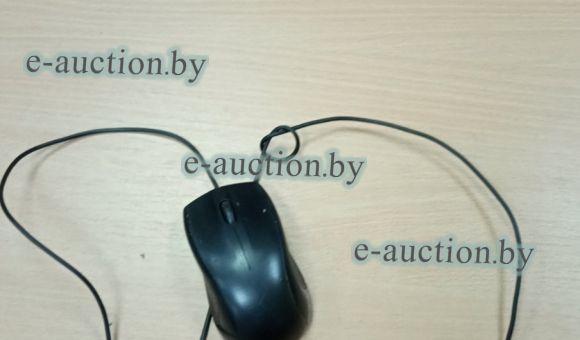 Мышь компьютерная