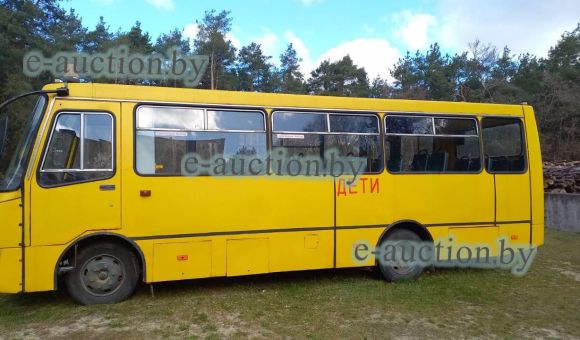 Автобус RADZIMICH А09202, 2009