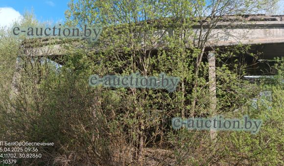 Навес в д. Белая (Дрибинский район) площадью 1195м²